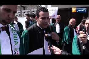 العاصمة: قضاة مجلس المحاسبة في وقفة تضامنية لمساندة الحراك الشعبي