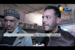 تبسة : ياسين ..رغم الظروف ينجح في تجسيد ثاني مشروع إنتاجي بمنطقة ظل