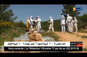 سعيدة: إقبال كبير على تربية النحل وإنتاج العسل