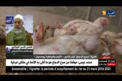 الشيخ شمس الدين لمدير المصالح البيطرية..خلي الأمور الدينية لماليها