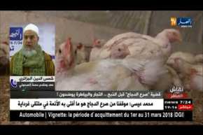 الشيخ شمس الدين لمدير المصالح البيطرية..خلي الأمور الدينية لماليها