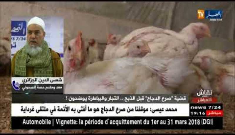 الشيخ شمس الدين لمدير المصالح البيطرية..خلي الأمور الدينية لماليها