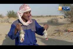 الوادي: رحلة صيد للجربوع البري في صحاري بن قشة الحدودية