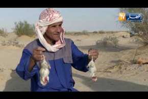 الوادي: رحلة صيد للجربوع البري في صحاري بن قشة الحدودية