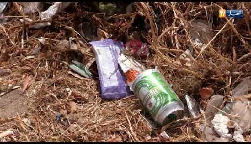 تعيم عالي: جامعات وهياكل تعليمية ضخمة تتحول إلى مكب للنفايات