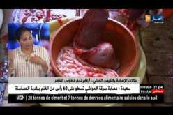 1500 بيطري يداومون يومي عيد الأضحى لضمان سلامة عيد الأضحى