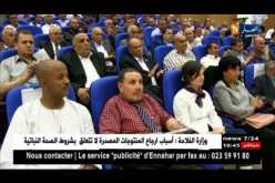 الشلف: توزيع 320 وحدة سكنية بصيغة العمومي وما يقارب 665 إعانة بناء سكن ريفي