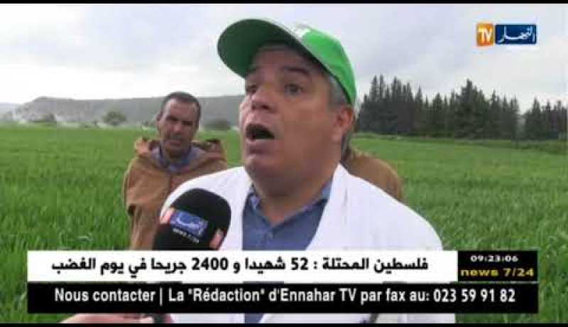 سعيدة: اول تجربة نموذجية في زراعة صنف جديد من حبوب القمح “الساورة”