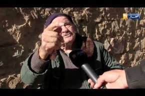 بجاية: هكذا يحافظ سكان منطقة القبائل على عصر الزيتون بالطريقة التقليدية