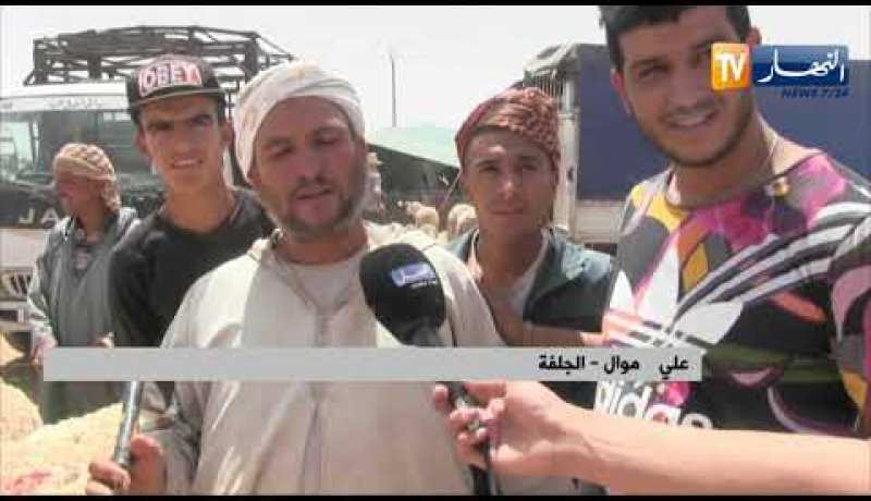 الجلفة: تراجع في أسعار الأضاحي وضعف الطلب يقلق الموالين
