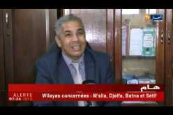 شراكة: من القمح الروسي إلى تقرير كوفاس ..فتور إقتصادي على محور الجزائر ـ باريس