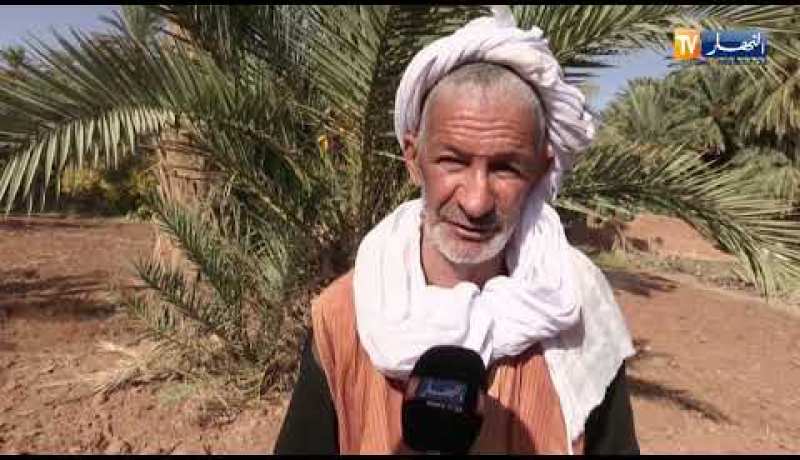 البيض: واحة نخيل برزينة..مورد إقتصادي في طريق الإندثار