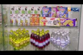 منع الإستيراد.. مرحلة إنتقالية في نظر الحكومة وخلط للأوراق في نظر المصنعين