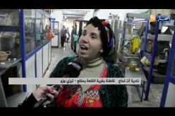 تيزي وزو: إنتاج زيت الزيتون يتراجع.. والسبب تلف المنتوج