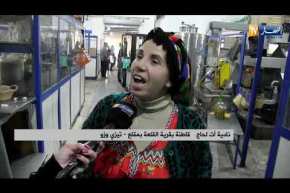 تيزي وزو: إنتاج زيت الزيتون يتراجع.. والسبب تلف المنتوج