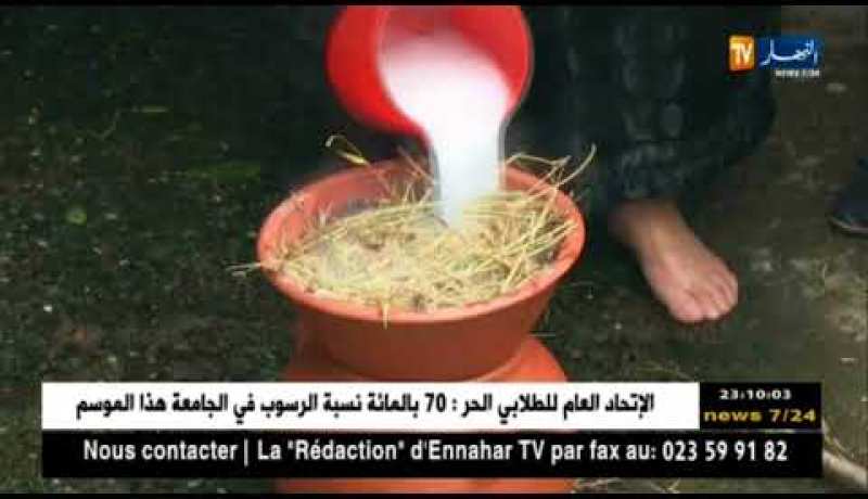 تيزي وزو: مهنة غسل الصوف في مصدر دخل لنساء القرية