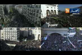 كل فئات المجتمع تشارك في الحراك الشعبي في إطار دستوري وتعبر عن مواقفها بطريقة سلمية