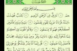 قراءة سورة فصلت في المنام