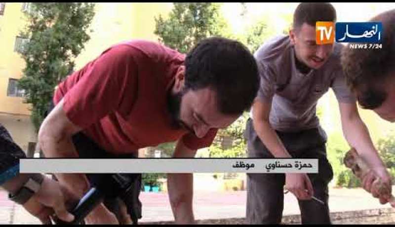 مجتمع: الكل يد واحدة لنحر أضحية العيد.. هكذا هي الأجواء في الأحياء الشعبية
