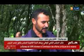 جيجل: مواطنون في رحلة البحث عن “المحاري الشائع” أحد أنواع الفطريات الأكثر إستهلاكا