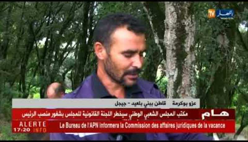 جيجل: مواطنون في رحلة البحث عن “المحاري الشائع” أحد أنواع الفطريات الأكثر إستهلاكا