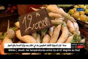 تجارة: أسعار الخضر والفواكه ترتفع.. والمتهم منسبة عيد الفطر