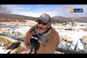 باتنة: حياة صعبة لسكان قرية تيطاوين بعد تساقط كثيف للثلوج