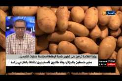 عروض تقنية حول الإنتاج الوطني لبذور البطاطا..الجزائر ضمن كبرى الدول المستهلكة