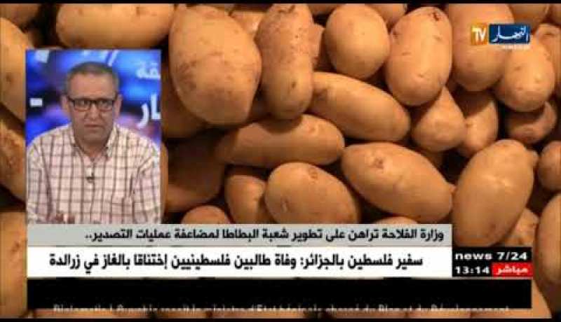 عروض تقنية حول الإنتاج الوطني لبذور البطاطا..الجزائر ضمن كبرى الدول المستهلكة