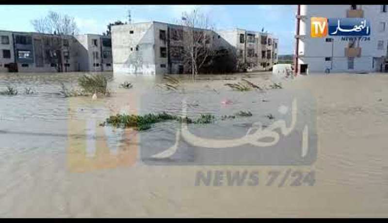 شاهد ماذا قال قرباج وبن شيخ عن عودة فريق شبيبة القبائل