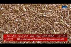 تجارة: الجزائر تستورد حوالي 175 ألف طن من القمح الصلب في مناقصة جديدة