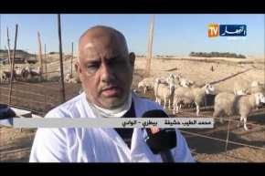 الوادي: الموالون يرفضون غلق الأسواق ويضربون قرار السلطات عرض الحائط