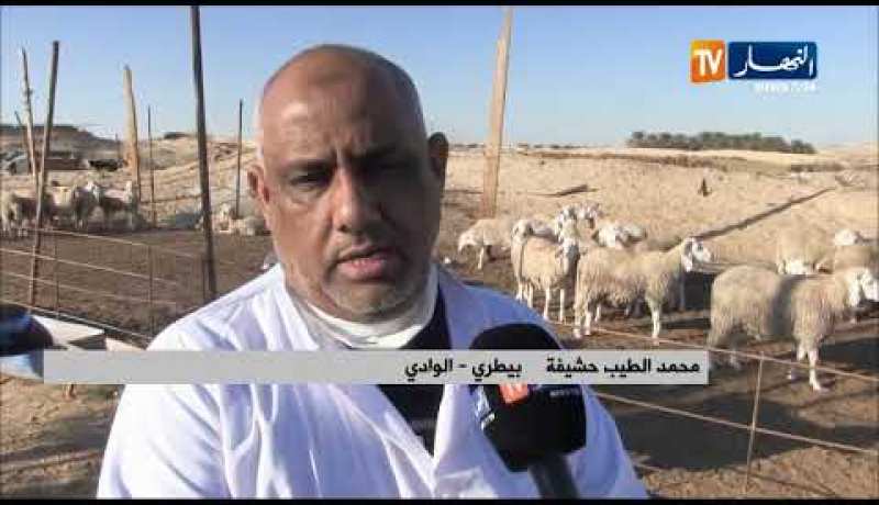 الوادي: الموالون يرفضون غلق الأسواق ويضربون قرار السلطات عرض الحائط