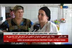 Ɛin Timucent: Bab unelmad yejba-d s usqεed d usgem tzeɣwa iɣarbazen