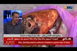 سيناريو تعفن الأضاحي يتكرر.. حالات يتم تسجيلها حد الساعة