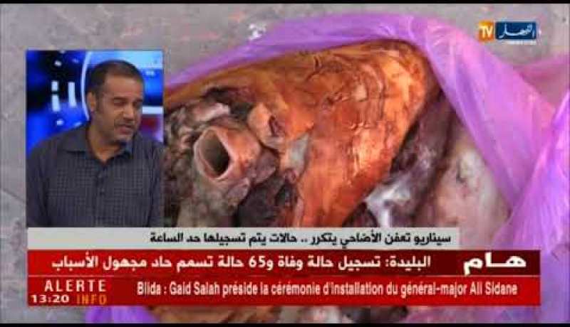 سيناريو تعفن الأضاحي يتكرر.. حالات يتم تسجيلها حد الساعة