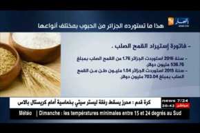 فلاحة: بالأرقام..هذه هي فاتورة إستيراد الجزائر للحبوب