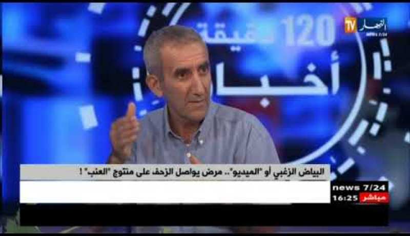 البياض الزغبي أو ” الميدو”..مرض يواصل الزحف على منتوج العنب