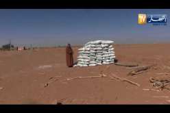 أدرار: إنشاء مستثمرة فلاحية عائلية  والطموح توسيعها