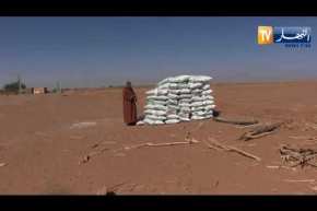 أدرار: إنشاء مستثمرة فلاحية عائلية  والطموح توسيعها