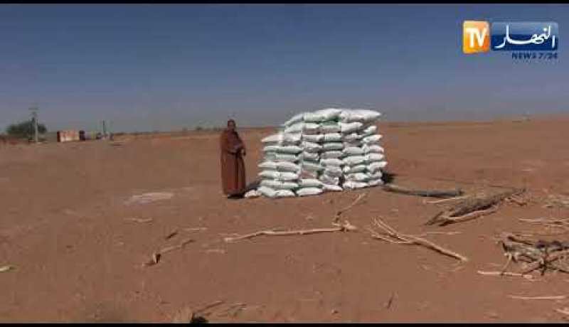 أدرار: إنشاء مستثمرة فلاحية عائلية  والطموح توسيعها