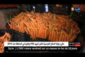 سعيدة: إنتاج وفير لمادة الجزر بمنطقة أولاد يوسف