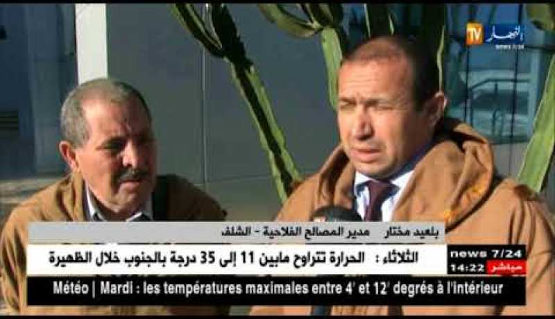 الشلف : مديرية المصالح الفلاحية تسعى لتوجيه الفلاحين لتفادي خسائر العام الماضي