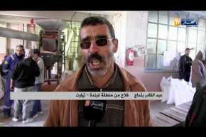 تيارت: الطلبات على البذور تتجاوز بأرقام قياسية المواسم السابقة