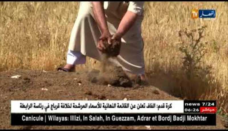 فلاحون يجتنبون إستخدام الأسمدة الكيميائية لضمان سلامة منتوجاتهم بالبيض