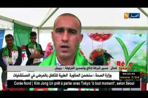 جيجل: الإنتاج المبكر للفراولة..بين الوفرة والتصدير نحو الخارج