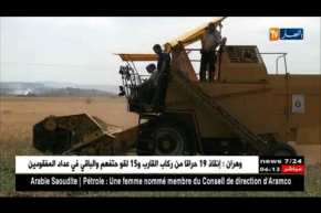 الجزائر على أبواب تحقيق الإكتفاء الذاتي من القمح الصلب والشعير بداية 2020