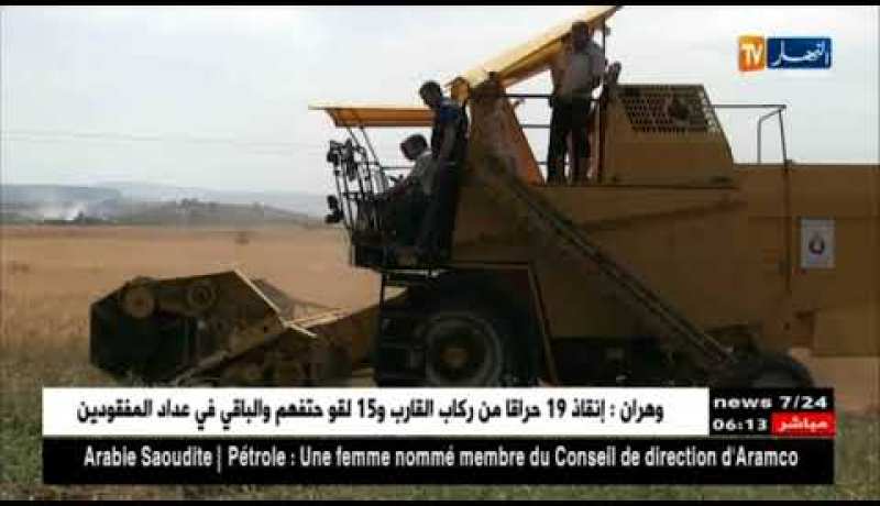 الجزائر على أبواب تحقيق الإكتفاء الذاتي من القمح الصلب والشعير بداية 2020