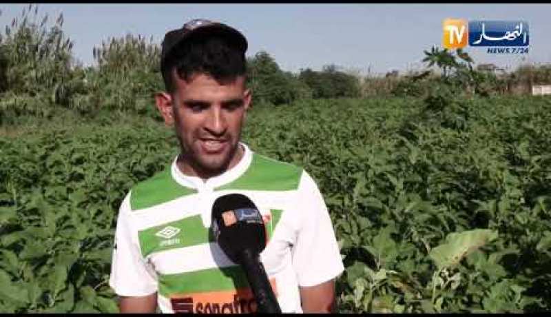 فلاحة: خضر وفواكه لا تتطابق والمعايير الصحية تغزو الأسواق