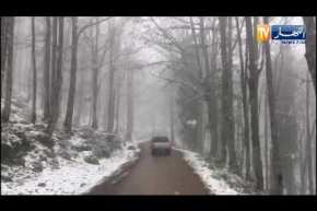 منطقة أكفادو ببجاية تكتسي الحلّة البيضاء